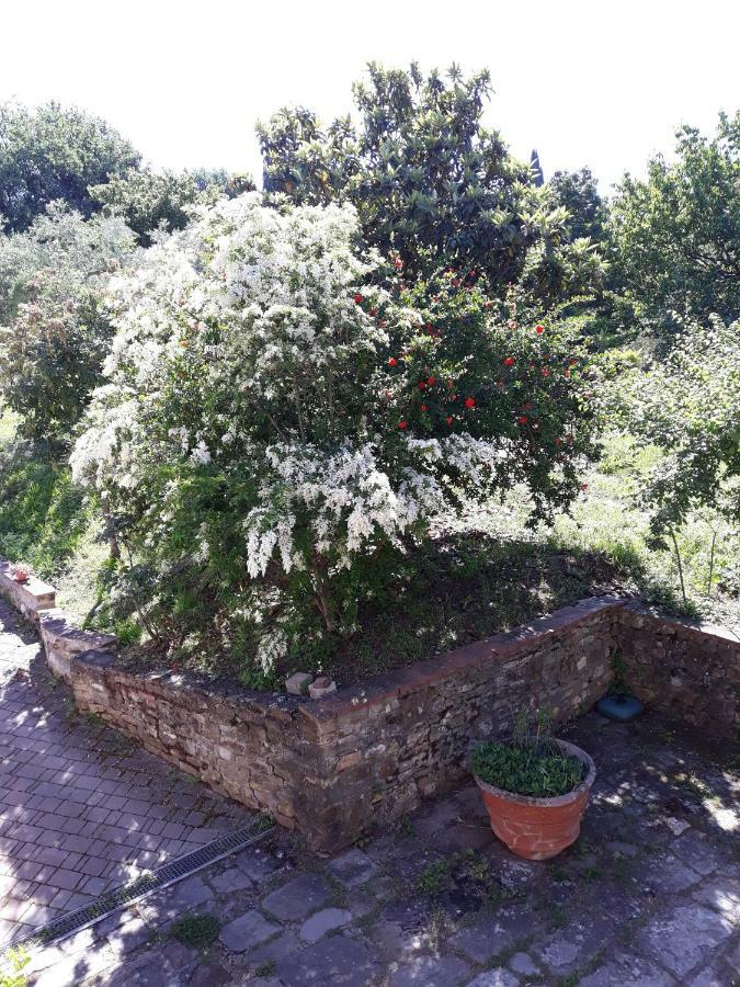 Il Burattino Country House Hotel Fiesole Exterior photo